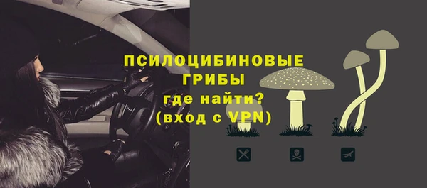 бошки Алзамай
