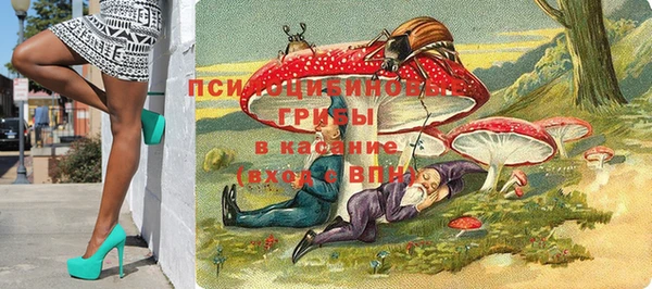 бошки Алзамай