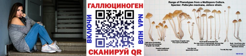Псилоцибиновые грибы Magic Shrooms  кракен маркетплейс  Петровск-Забайкальский  цена  